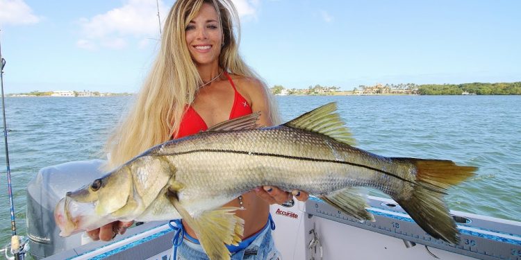 Girl puts Dad ON THE FISH! Snook & Barracuda Inshore Fishing