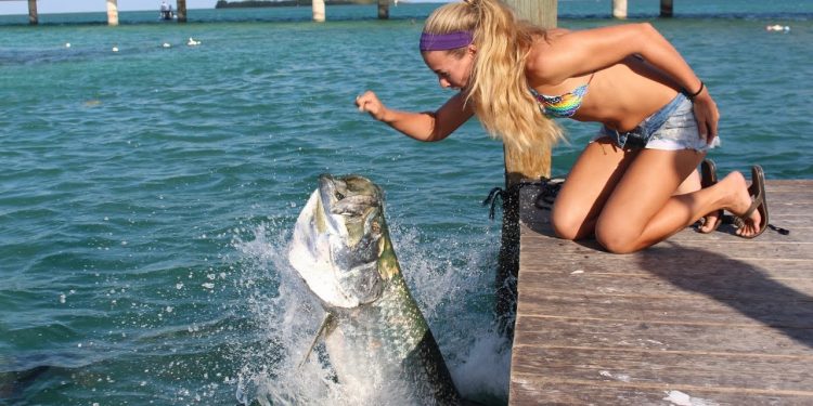 Hand Feeding Giant Tarpon in the Florida Keys