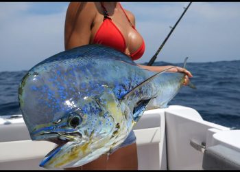 I got SOAKING WET catching this Fish!