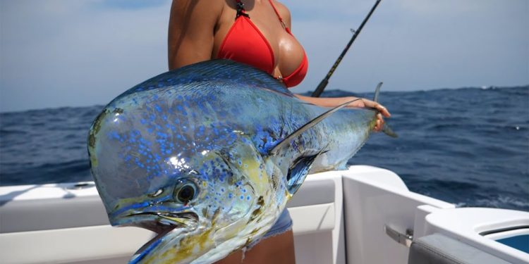 I got SOAKING WET catching this Fish!