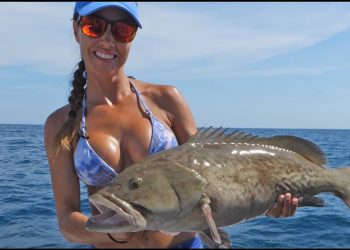 Nature Coast GROUPER & SNAPPER