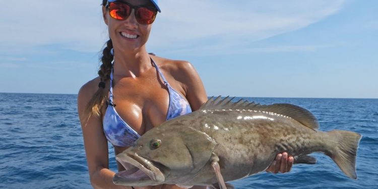 Nature Coast GROUPER & SNAPPER