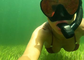 Relaxing UNDERWATER SCALLOPING the Nature Coast of FLORIDA