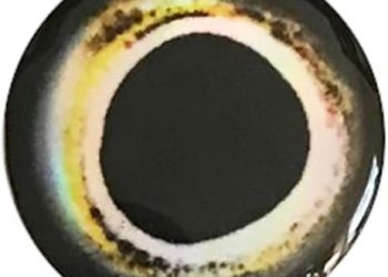 Brule 3-D Holographic Epoxy Fish Eyes (3mm-20mm) 60 Pack, Handpoured, Fishing Fly Tying Streamers Lures Crafts