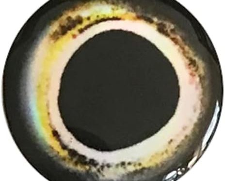 Brule 3-D Holographic Epoxy Fish Eyes (3mm-20mm) 60 Pack, Handpoured, Fishing Fly Tying Streamers Lures Crafts