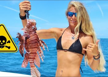 DEADLY LIONFISH! Florida Offshore Saltwater Fishing for Lethal & Venomous Killer Reef Fish