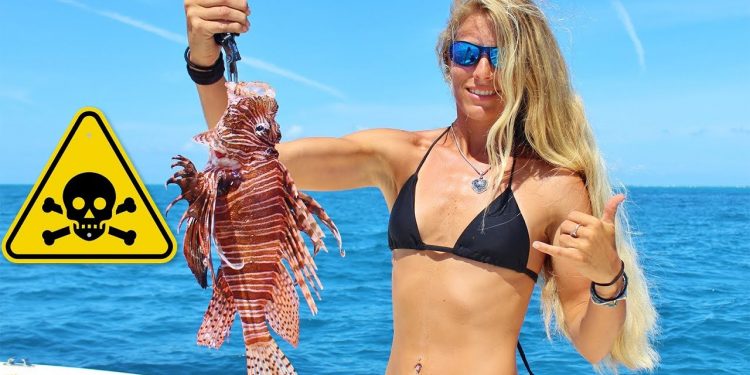 DEADLY LIONFISH! Florida Offshore Saltwater Fishing for Lethal & Venomous Killer Reef Fish