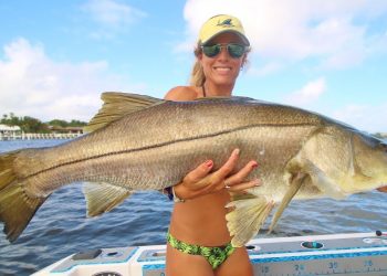 Florida Inshore Saltwater Fishing BEAST Snook Video