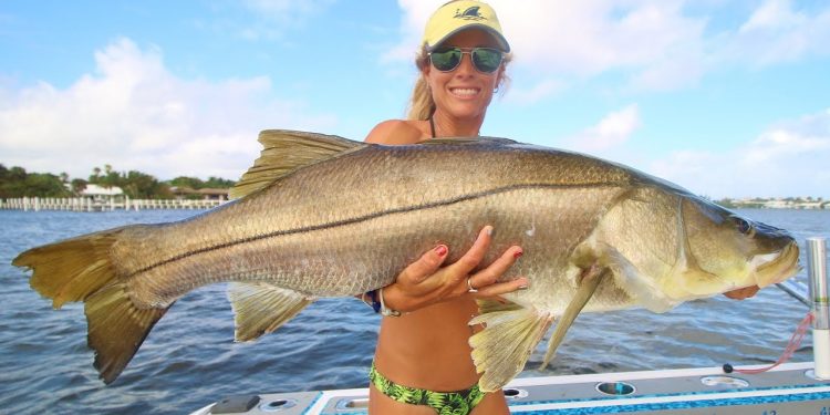 Florida Inshore Saltwater Fishing BEAST Snook Video