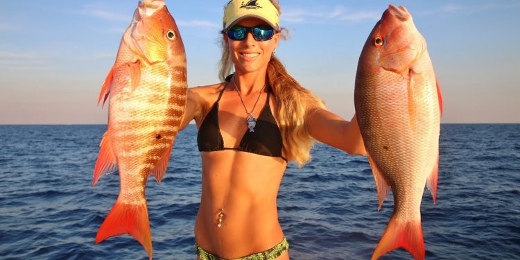 Florida Offshore Saltwater Bottom Fishing ft. Weird Fish