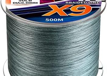 HAIDIAOW Braided Fishing Line, Cost-Effective 9 Strands Braid Super Lines, Abrasion Resistant – Zero Stretch – Smooth Surface – Thinner Diameter – Extremely Durable, Excellent Casting Distance