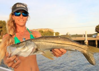 Offshore & Inshore Saltwater Florida Fishing Day Video