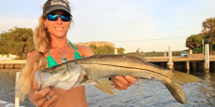 Offshore & Inshore Saltwater Florida Fishing Day Video