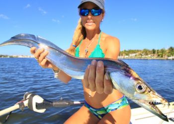 Ribbonfish INVASION Florida Inshore Saltwater Fishing