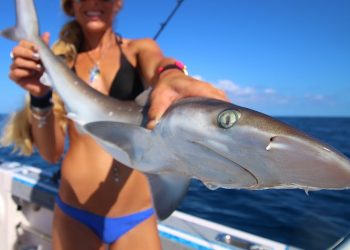 We’re Back! Florida Offshore Fishing