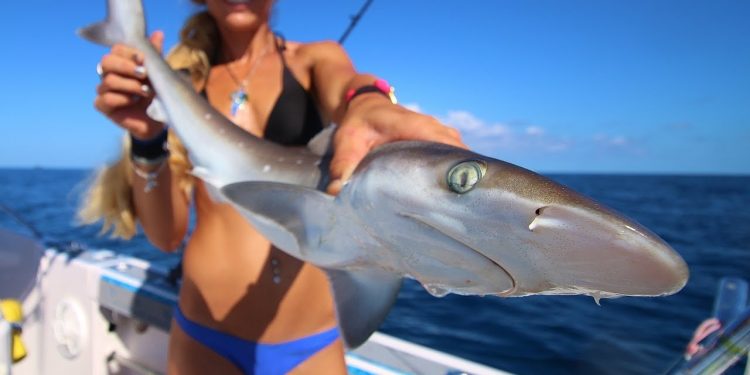 We’re Back! Florida Offshore Fishing