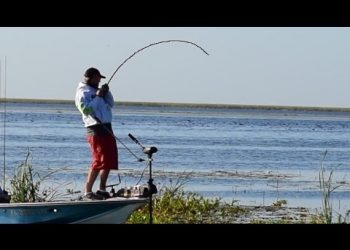 Catch More Bass Flipping and Pitching Heavy Cover