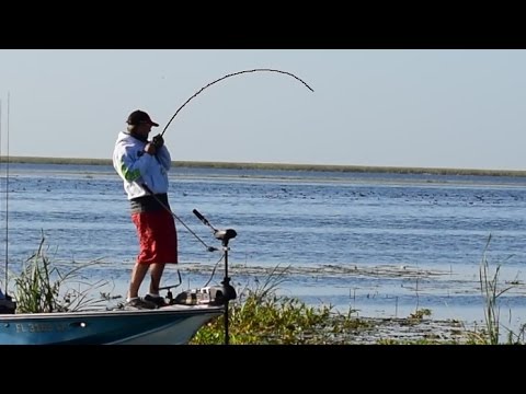 Catch More Bass Flipping and Pitching Heavy Cover