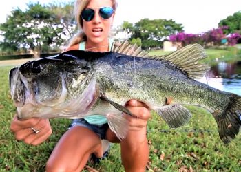 Finding Nemo Bass Fishing Challenge
