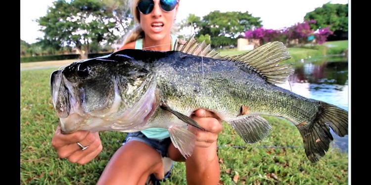 Finding Nemo Bass Fishing Challenge