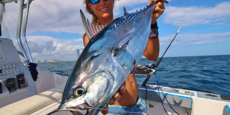 Fishing with a Kite