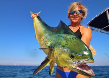 Florida Offshore Fishing: Big Mahi!
