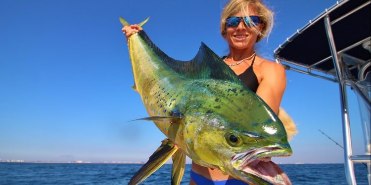 Florida Offshore Fishing: Big Mahi!