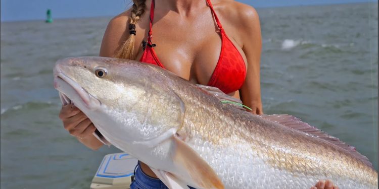GIANT REDFISH ! pt2   4K