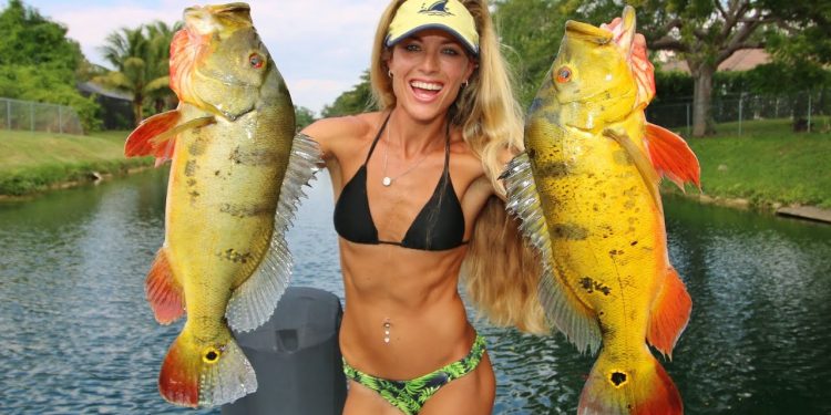 I’ve NEVER Seen This Many GIANT Peacock Bass!