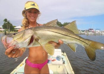 Kisses, Snook Fishing & BAIT swimming in the Parking Lot In Florida!