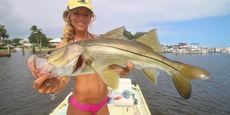 Kisses, Snook Fishing & BAIT swimming in the Parking Lot In Florida!