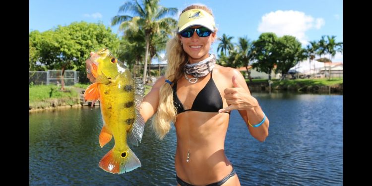 Topwater Peacock BASS Fishing with Pro Bass Angler
