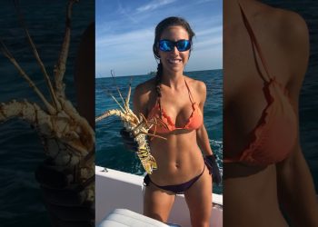 Catching LOBSTERS in the Bahamas #fishingwithluiza #bahamas #lobster #lobstering #diving