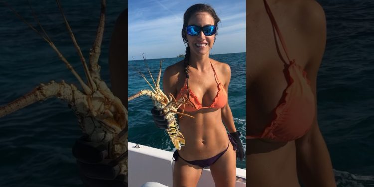 Catching LOBSTERS in the Bahamas #fishingwithluiza #bahamas  #lobster #lobstering #diving