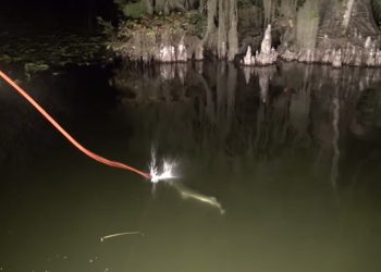 Fishing in the Dark! Girl Freshwater BOWFISHING in Florida Video