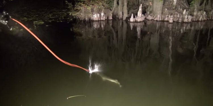 Fishing in the Dark! Girl Freshwater BOWFISHING in Florida Video
