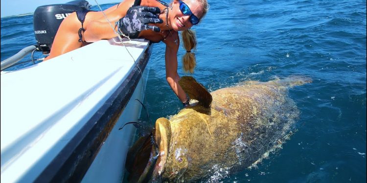 Girl Pulls Up BIG Grouper & Shark on Shallow Wreck Fishing Video