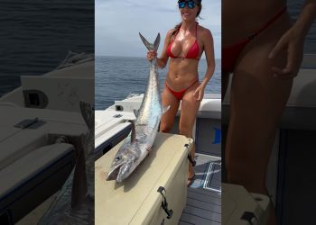 Got a big kingfish for some fishdip #fishingwithluiza #fishing