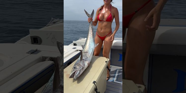 Got a big kingfish for some fishdip #fishingwithluiza #fishing