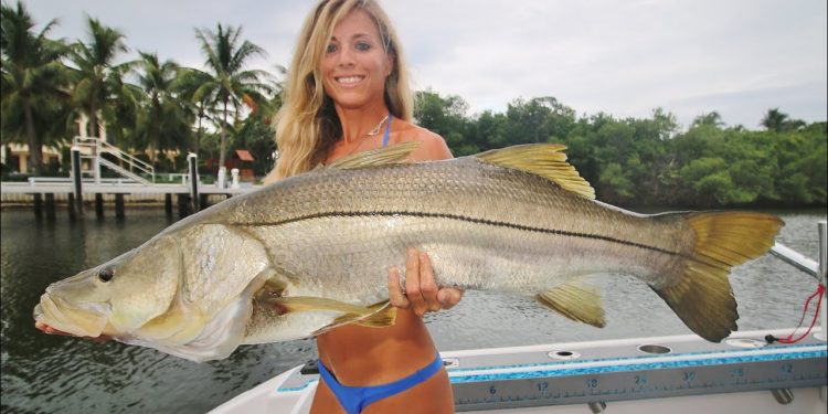 Inshore Saltwater Trolling for Big Snook Video