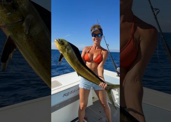MAHI Fishing