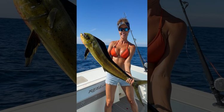MAHI Fishing