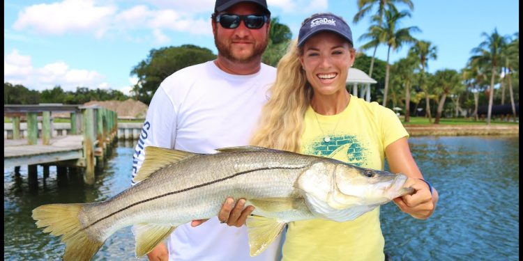 Mullet Run Inshore Saltwater Fishing for Snook in Stuart, Florida
