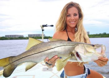 Step by Step HOW TO Catch a Snook During the Florida Mullet Run