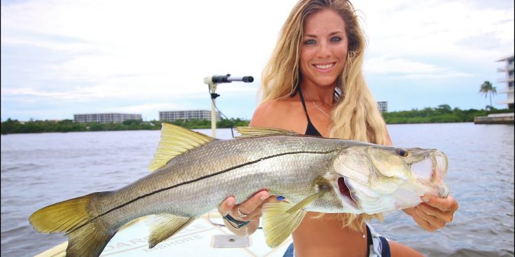 Step by Step HOW TO Catch a Snook During the Florida Mullet Run