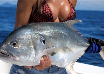 Catching JACKS in El Salvador out of CASA del GOLFO Hotel