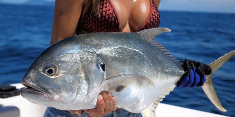 Catching JACKS in El Salvador out of CASA del GOLFO Hotel