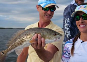 Crystal River SNOOK and REDFISH