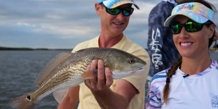 Crystal River SNOOK and REDFISH