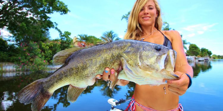 I CAUGHT MY PERSONAL BEST BASS & CRAPPIE Fishing Lake Ida VLOG!